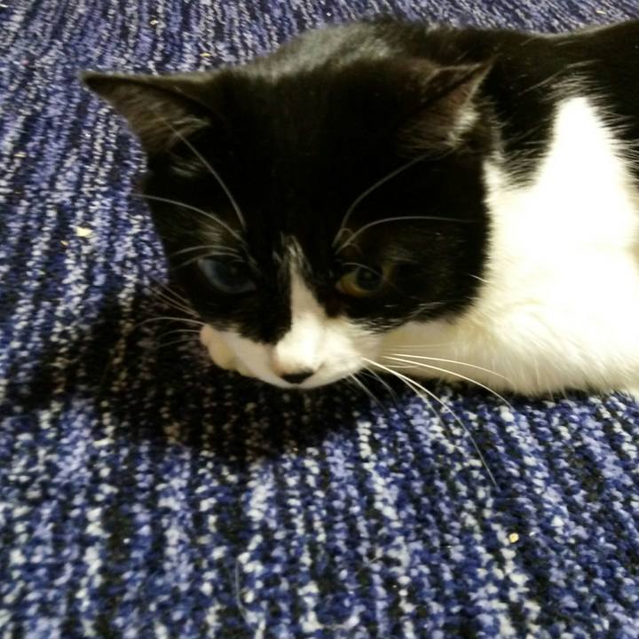 D5d1ebb5 35dc 4f1b bfdb 8cc4fbdd47ae 1524317132632