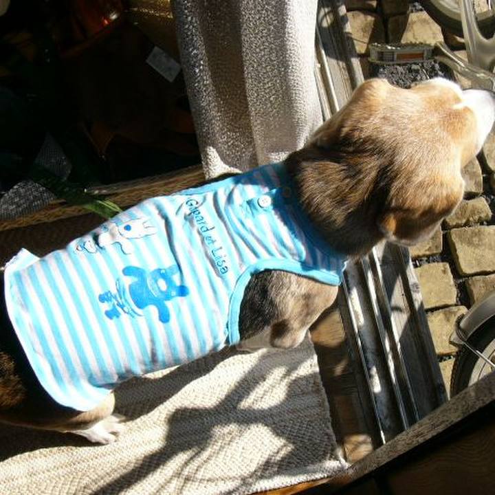 D5d2082c bd96 4e53 8ba2 0cdba1ee7830 1670635210999