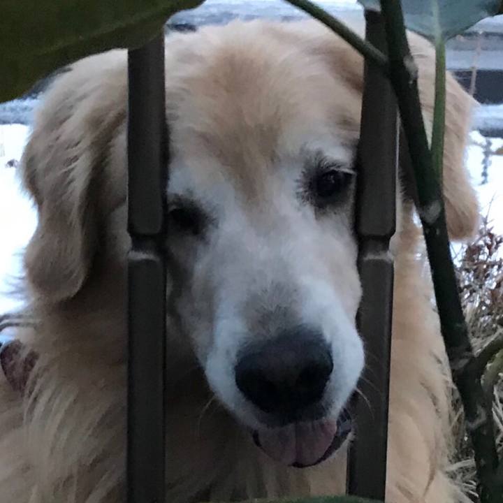 D5d21565 f0c2 497f 9ec7 a4432787e0a5 1517392566846