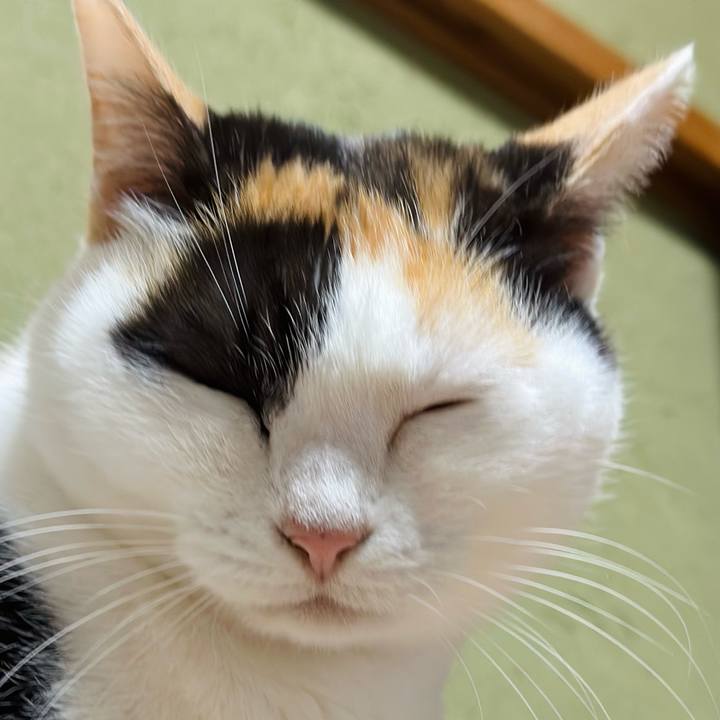 D5d24999 5369 44de ab61 c548fe24f4d6 1672717588055