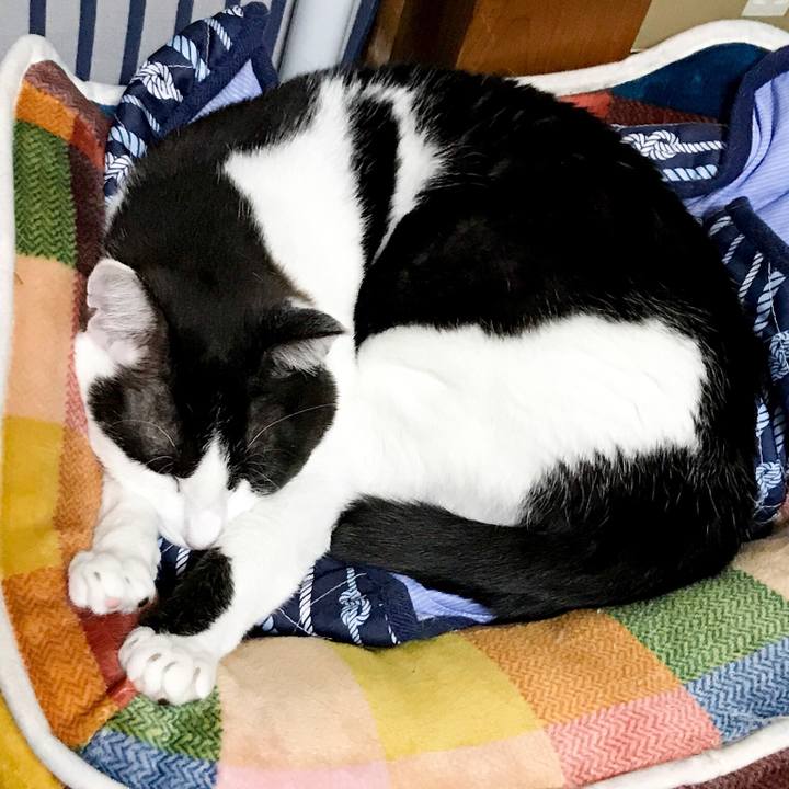 D5d24e83 0fe5 4bcd 9b0e 2a69798d8d1f 1528296972813