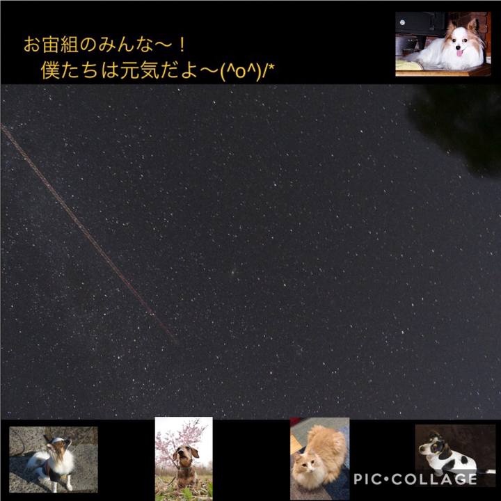 D5d2888b 4080 404d a17e fc7d9f63ea8c 1510417751230