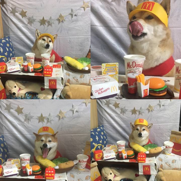 D5d28efc 160f 444d 86b7 b6ed0a5180a5 1623658068531