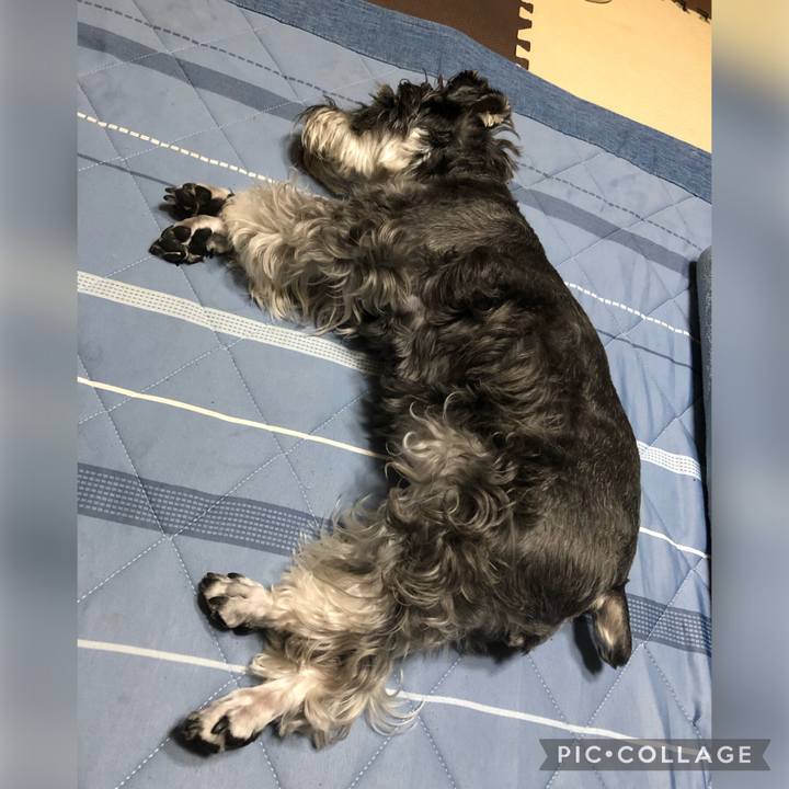 D5d2b425 2a40 49dc ae47 fcf877e121ee 1694440869461