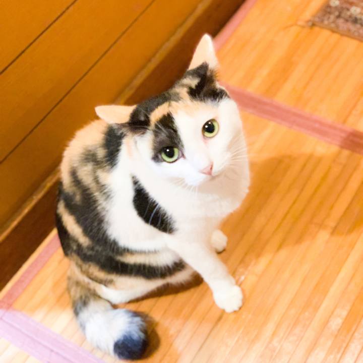 D5d2befa d08f 4d02 a127 c96223d3d4d8 1569549609176