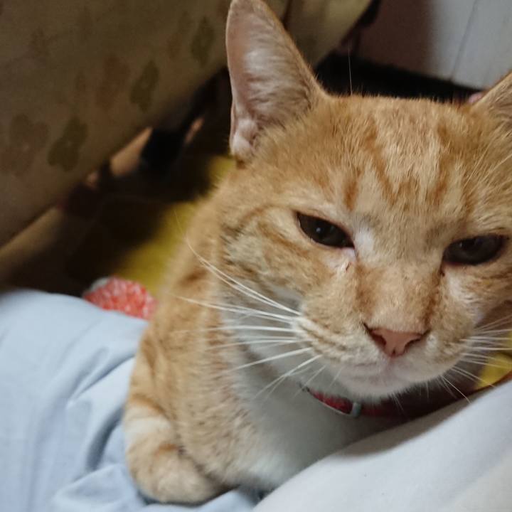 D5d2c006 9966 48ae 8eff 76ca7f9ecfda 1570180552469