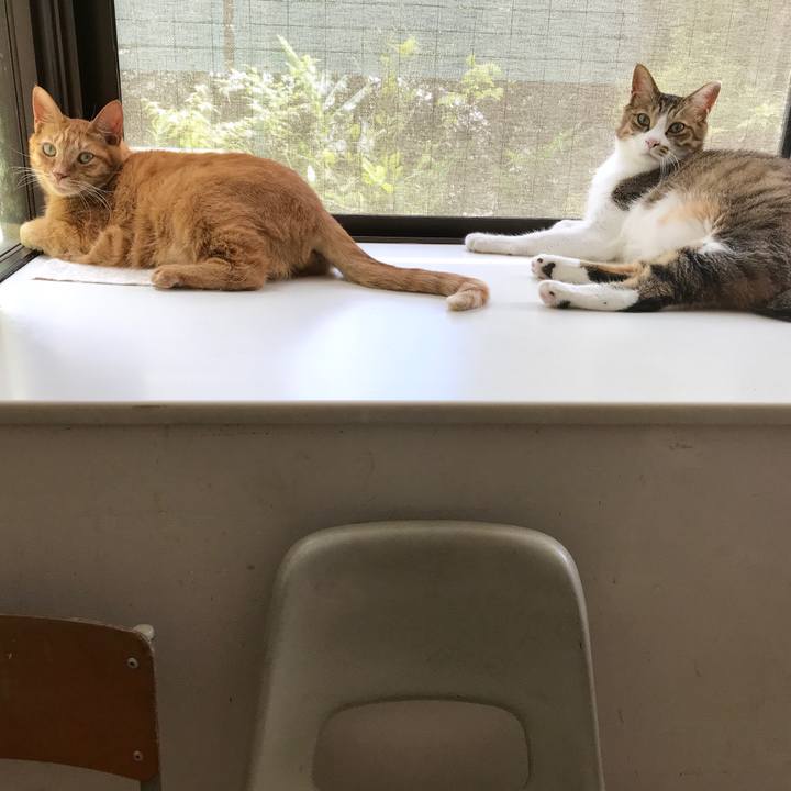 D5d2ce09 725a 4556 b56e 2a63809ab23b 1533086226096