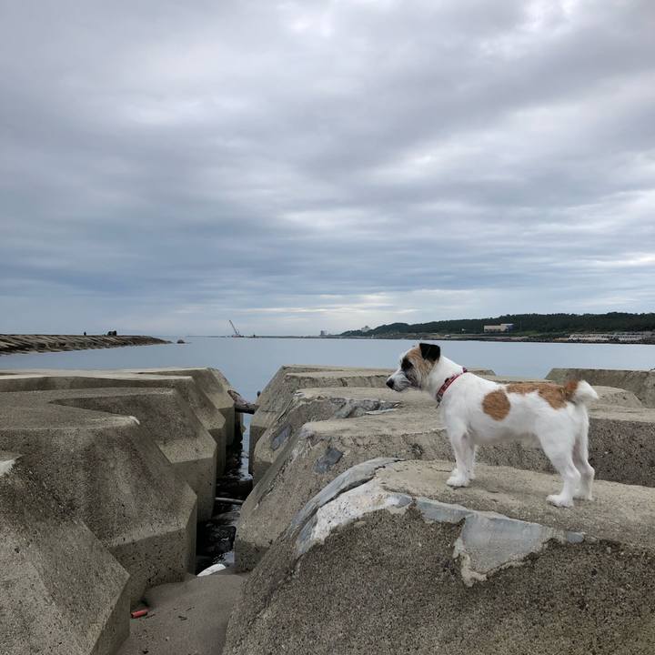 D5d2d81d e9d5 424f b548 f672b52c9364 1594423591812