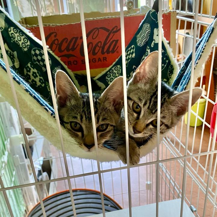 D5d2e2b2 cebc 46d2 8b13 c54c6e36adc3 1722501978610