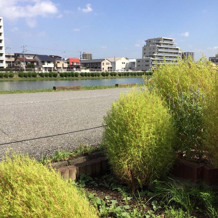 D5d365ce f45a 4694 a617 8cd215ed3651 1633338153724