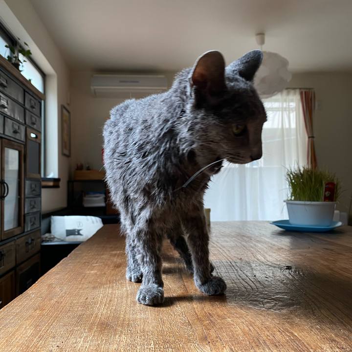 D5d369de 77d8 478a 894c cea4a00a89e2 1582369471825