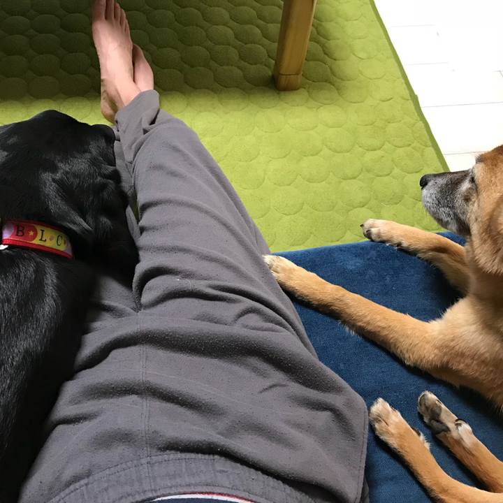 D5d372e9 7c34 451d a6f2 92543fb3baf3 1523787205255