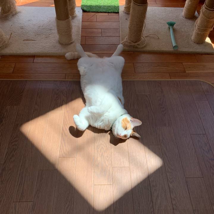 D5d373c0 bbd2 4b61 8c03 9d92fb338488 1565584806647