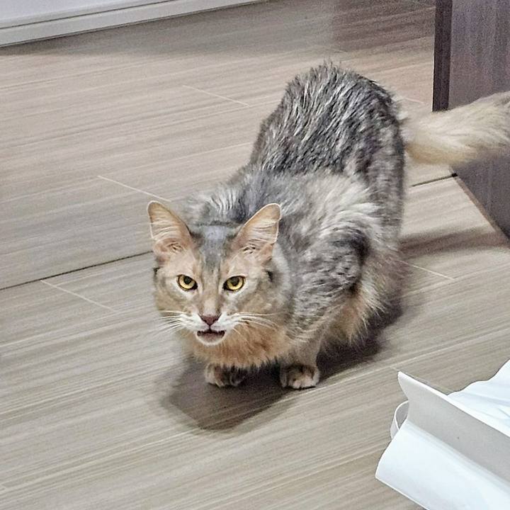 D5d37ebb e1af 4e4f a0ce 4273f9a1c738 1746773764212