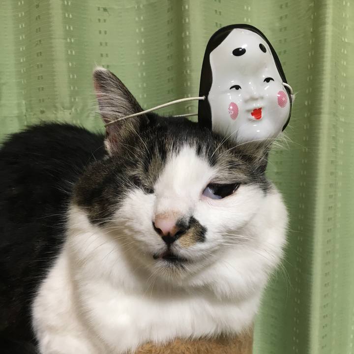 D5d3973b 8b84 465b 9bd8 3613c6797532 1549154794941