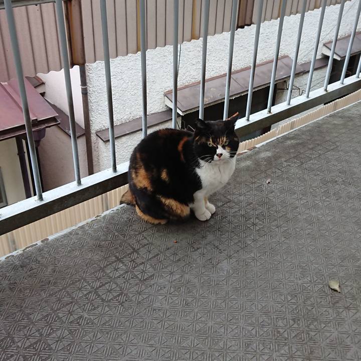 D5d445f9 3aa1 42f2 b90d d17f257ba384 1676771614829