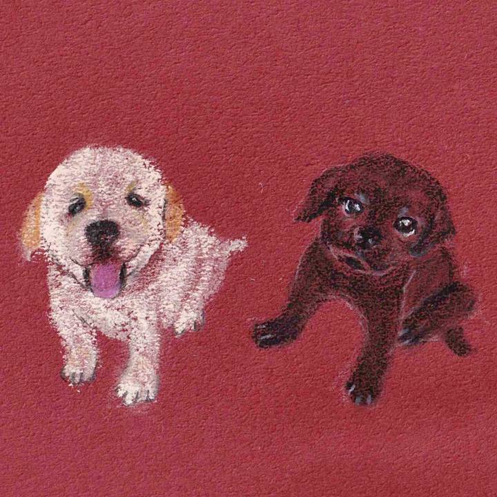 D5d475a6 6337 487f 9611 2818ebf3bdab 1628995016311