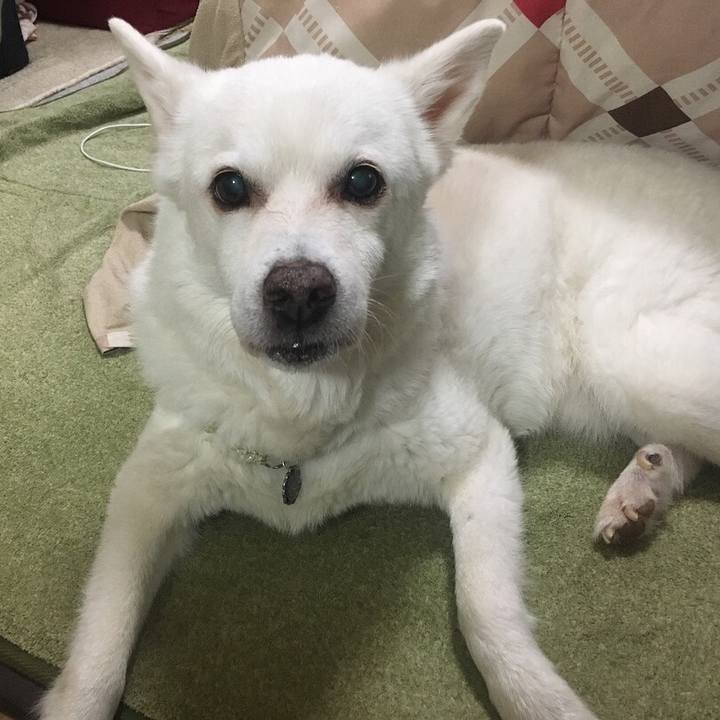 D5d49e99 391b 43c4 a506 ab620d98bf73 1527855309734