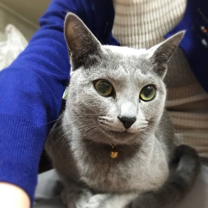 D5d4b3c6 ba56 47fd b8da 06f755ba9bcb 1521889306718