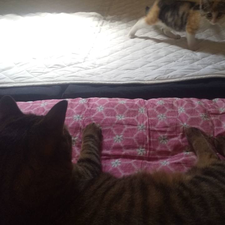 D5d5257a 2755 4737 89cb 8bb439928a44 1721278728208