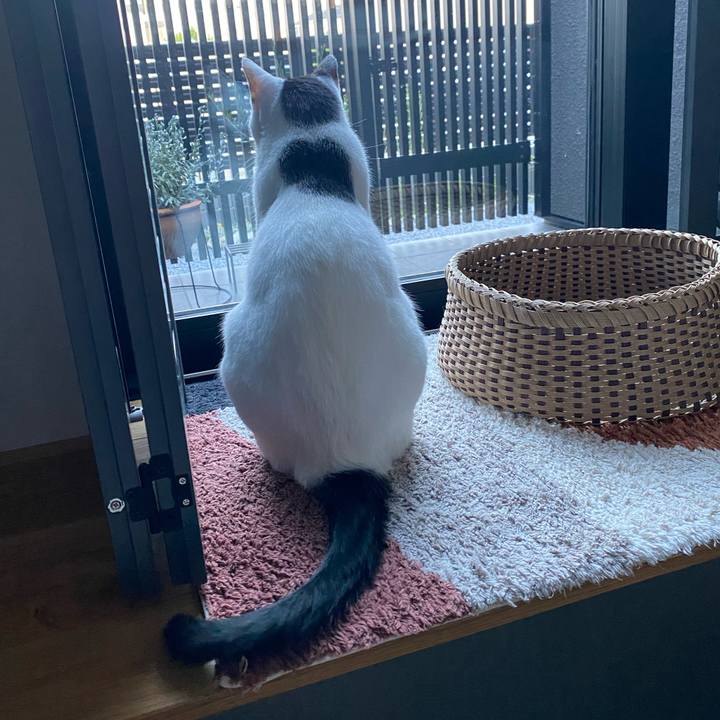 D5d52df6 eed9 4ac2 90a9 e6d39cdd581d 1754644907953