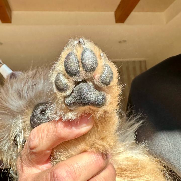 D5d5618d 89ed 4400 a9c2 67098eedd2de 1705150589129