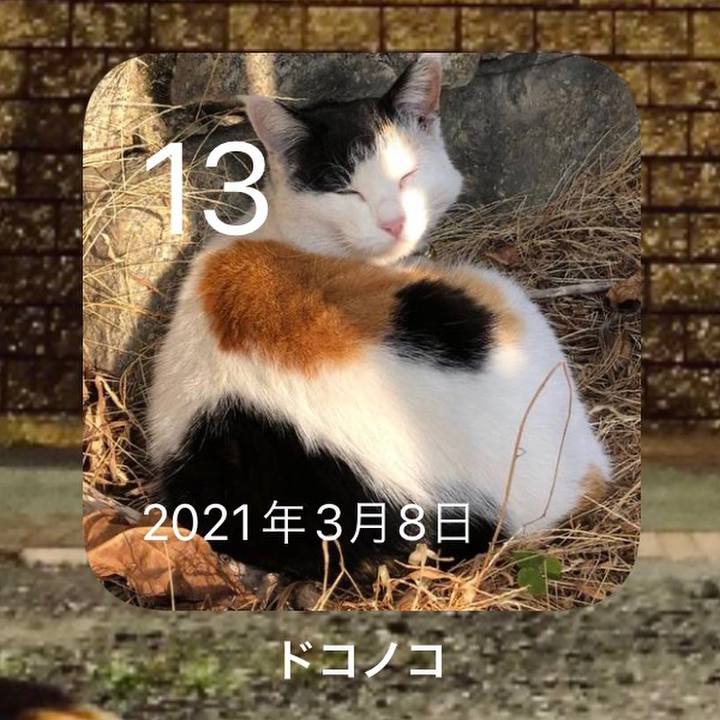 D5d5967b 440e 4ce4 a627 c4001218b0a9 1647168911032