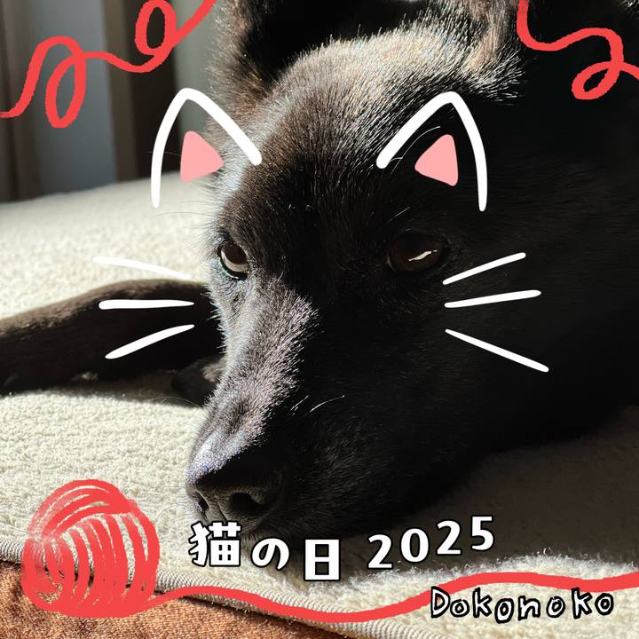 D5d5a7da 3da4 4c77 849f 558307296a0b 1740185238190