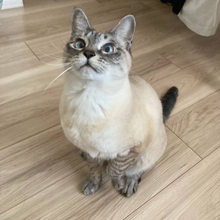 D5d5ac47 0ad8 4c73 8d7d 150a6bf83378 1773456009314