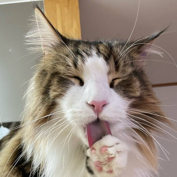 D5d5d9ba bef8 4e81 bd94 2797fc4cb0a6 1674851906676