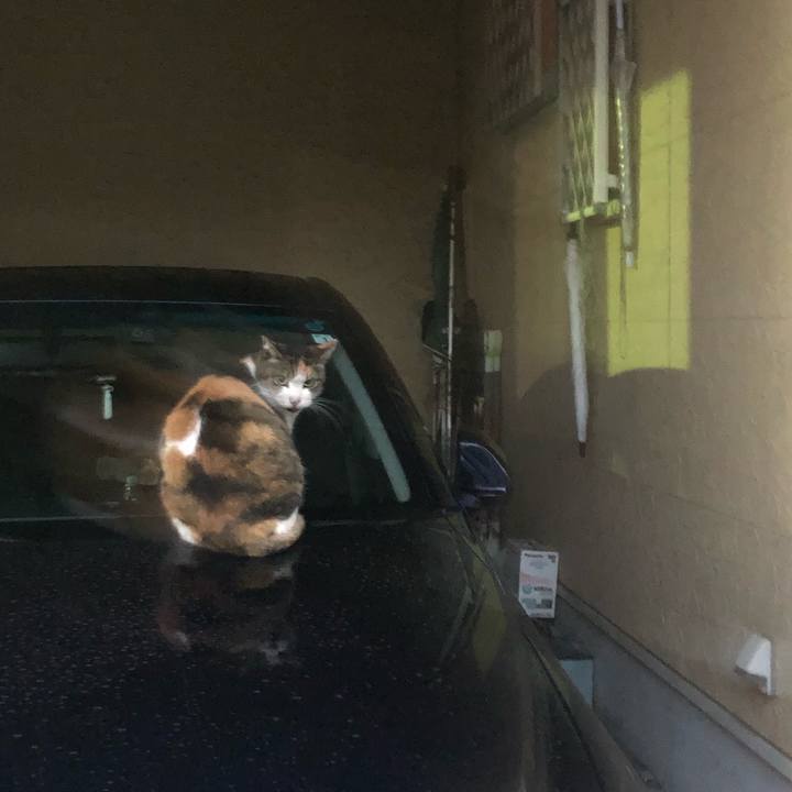 D5d5e603 de01 473d 9ff3 481e28064ca1 1580739294487