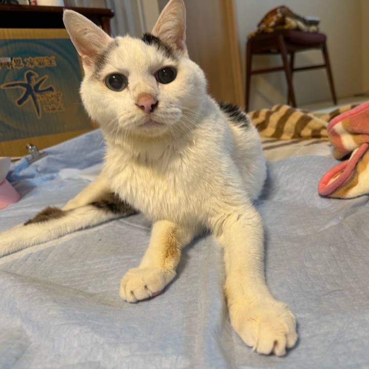 D5d5e734 f386 4171 b5ba 74c5dc096dfb 1762042071194