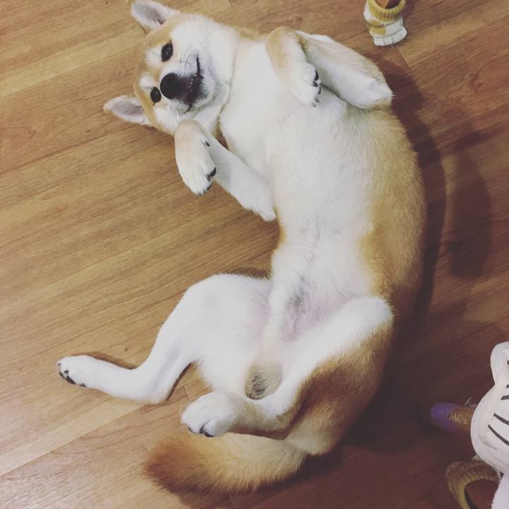 D5d5f85d 290c 489e 9e6b ce35028bd172 1526040995907