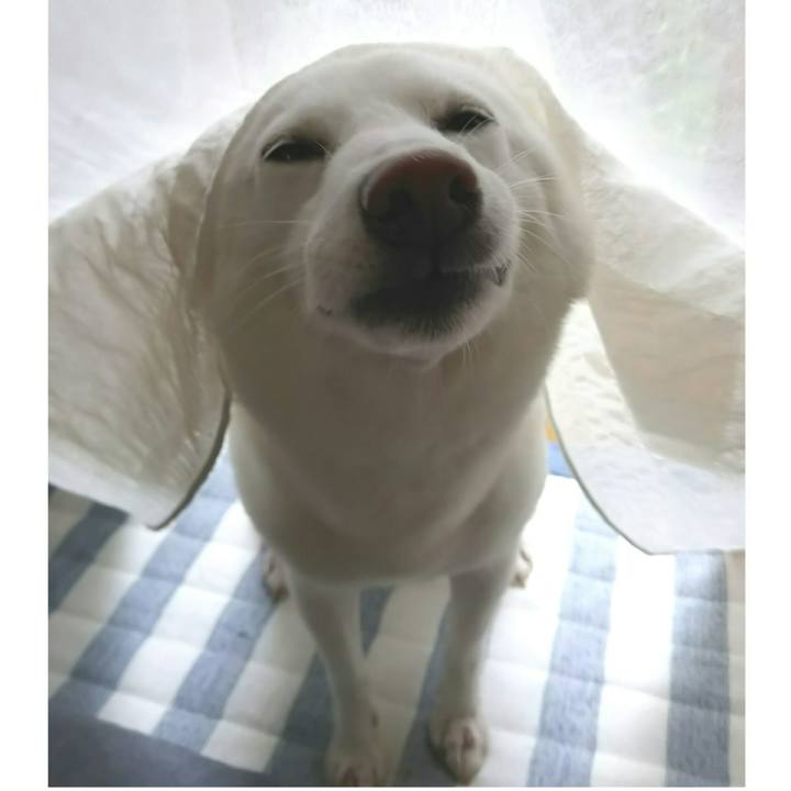 D5d618c6 940f 4f83 ae92 868aa03e06b6 1594861146794