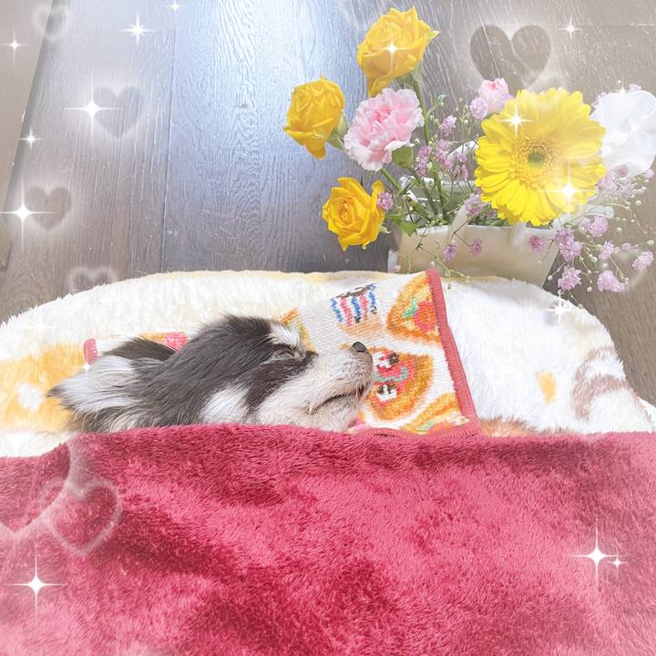 D5d67688 715e 4bad 8fdc f606be1fd6a5 1735602440829