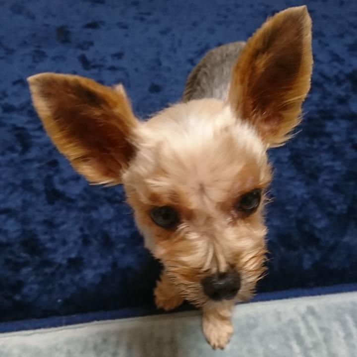 D5d691b8 7212 40a1 bdaf 1190c7c5827a 1535282009500