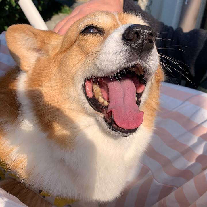 D5d6932f b9fc 4b19 a550 8855f5f167af 1707541348906