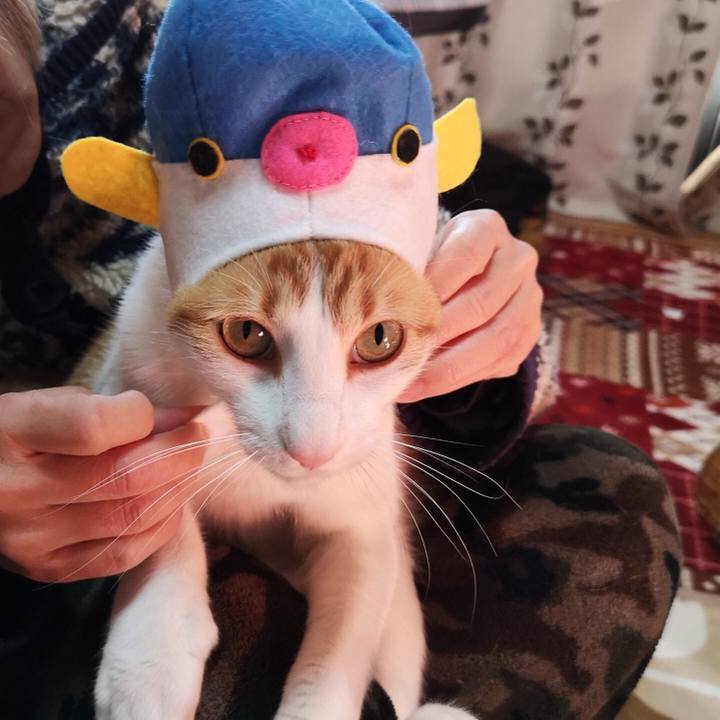 D5d6d30a 4f65 4bd7 aa62 11c2e6211b5e 1544353902857