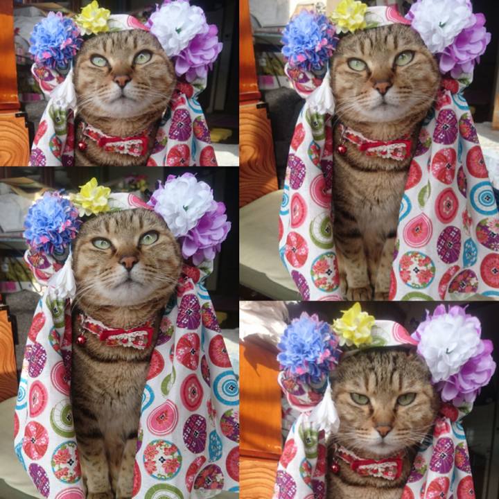 D5d6e097 c4dc 4004 aa4c 5209f123e9fc 1764718264758