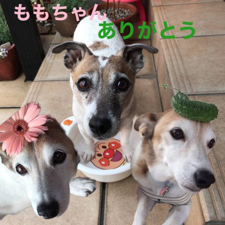 D5d7001d b5cd 43e8 9318 fdd807575163 1596068576226