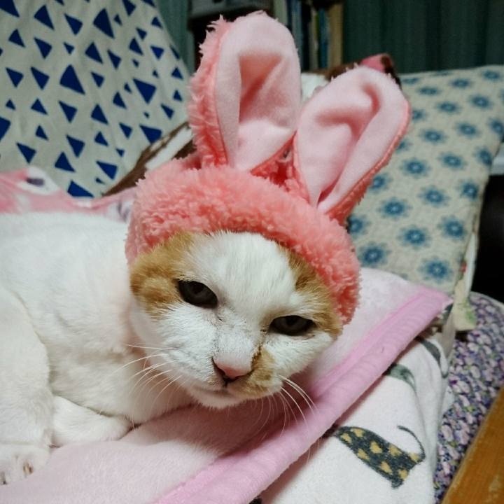 D5d714d8 0491 47ef b016 277e20c74ef2 1514557786256