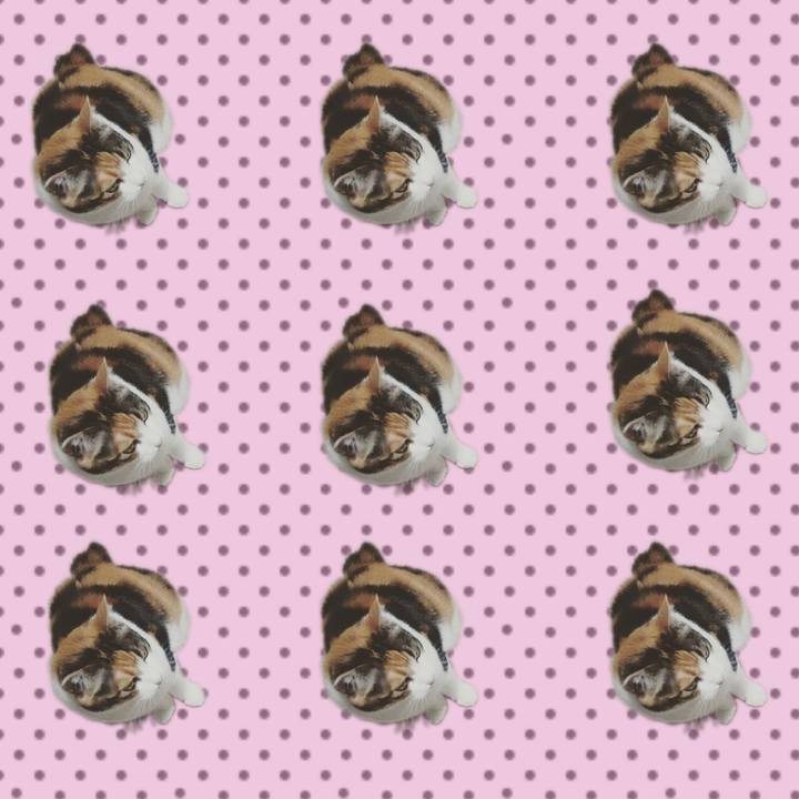 D5d75bee 4132 482f 8886 ebcb4cdb85bf 1559482837386