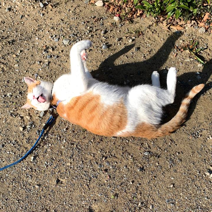 D5d76112 f1f0 4f37 9649 6b06226cf0c2 1575892905779