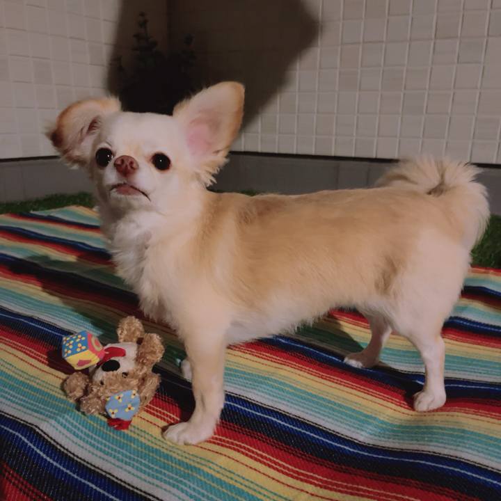 D5d76e3a 24f6 4cec b955 cf8ba6af873b 1688736393119