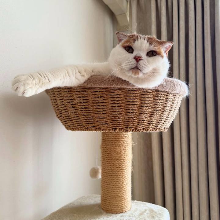 D5d77c77 613a 4643 b1f7 f773c91abd2b 1761091232866