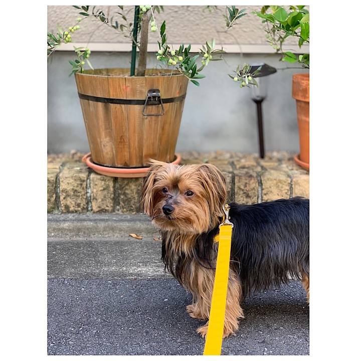 D5d7958e 32c8 4cf2 b98e bcee7c6778fd 1539750166909