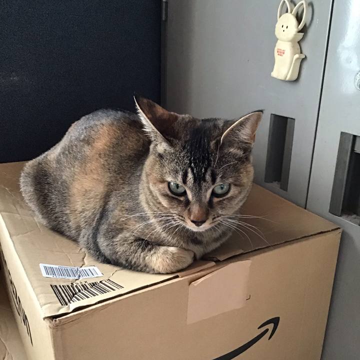 D5d7a864 f70f 40c3 bc5b b567fb0935ec 1581642316031