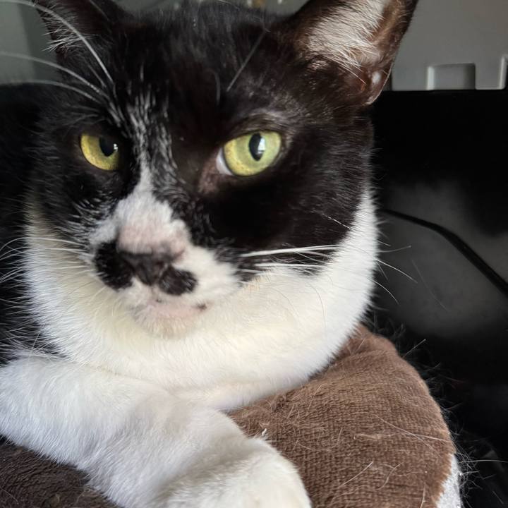 D5d7b959 0223 4cde 98d1 a3d089f8fe4f 1760832476250