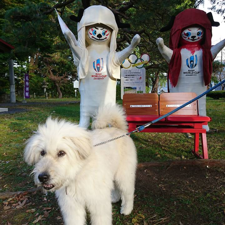 D5d8721e 1118 44de 909d 40fdf4e609f7 1572765758618