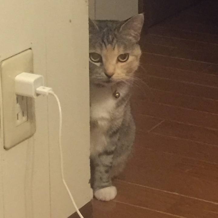 D5d8754c b17e 4b4f b247 8dec276be893 1558440029993